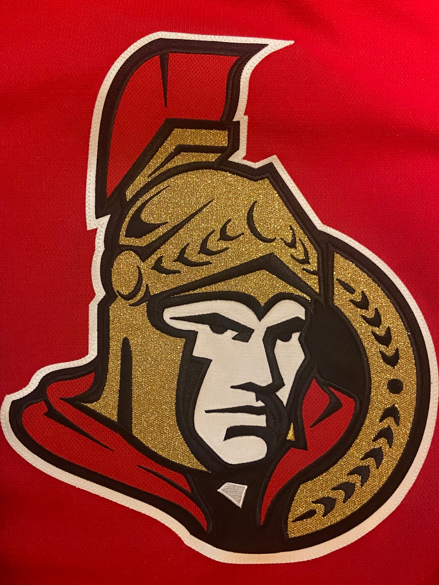 Anders Nilsson’s 2019-20 Ottawa Senators Game-Issued Red Home Set 2 Jersey with Team COA - size 60G