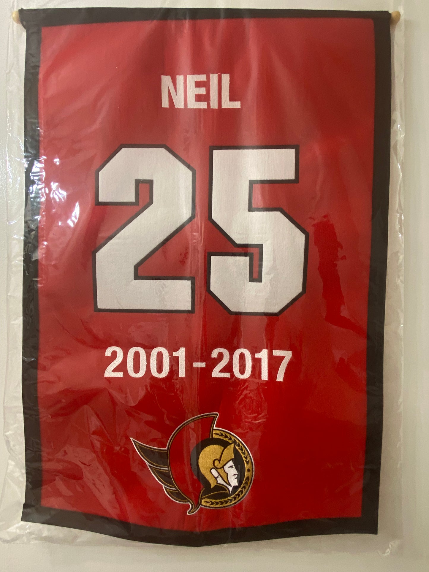 Chris Neil 27" x 18" Wool Embroidered Replica Ottawa Senators Jersey Retirement Banner