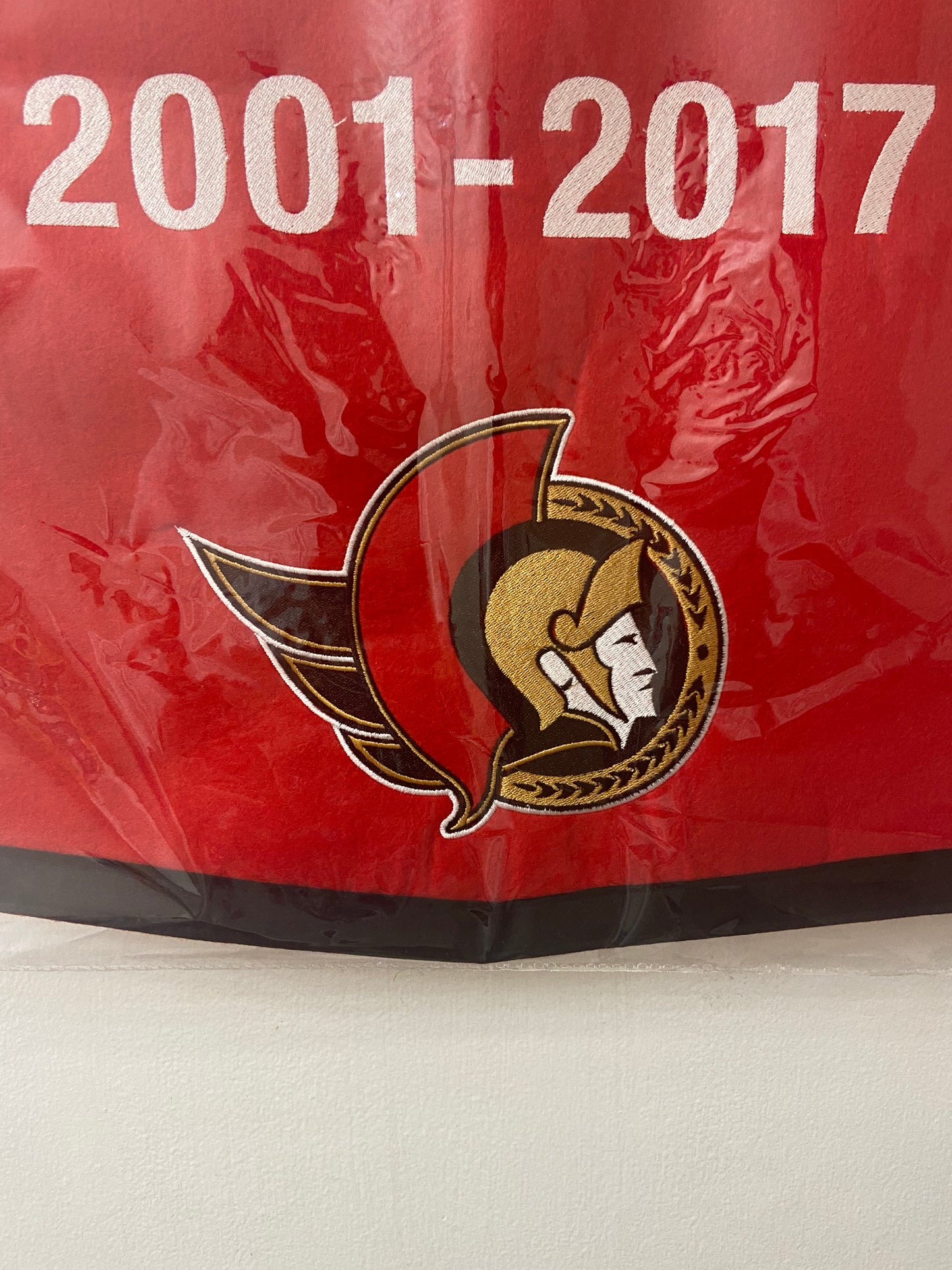 Chris Neil 27" x 18" Wool Embroidered Replica Ottawa Senators Jersey Retirement Banner