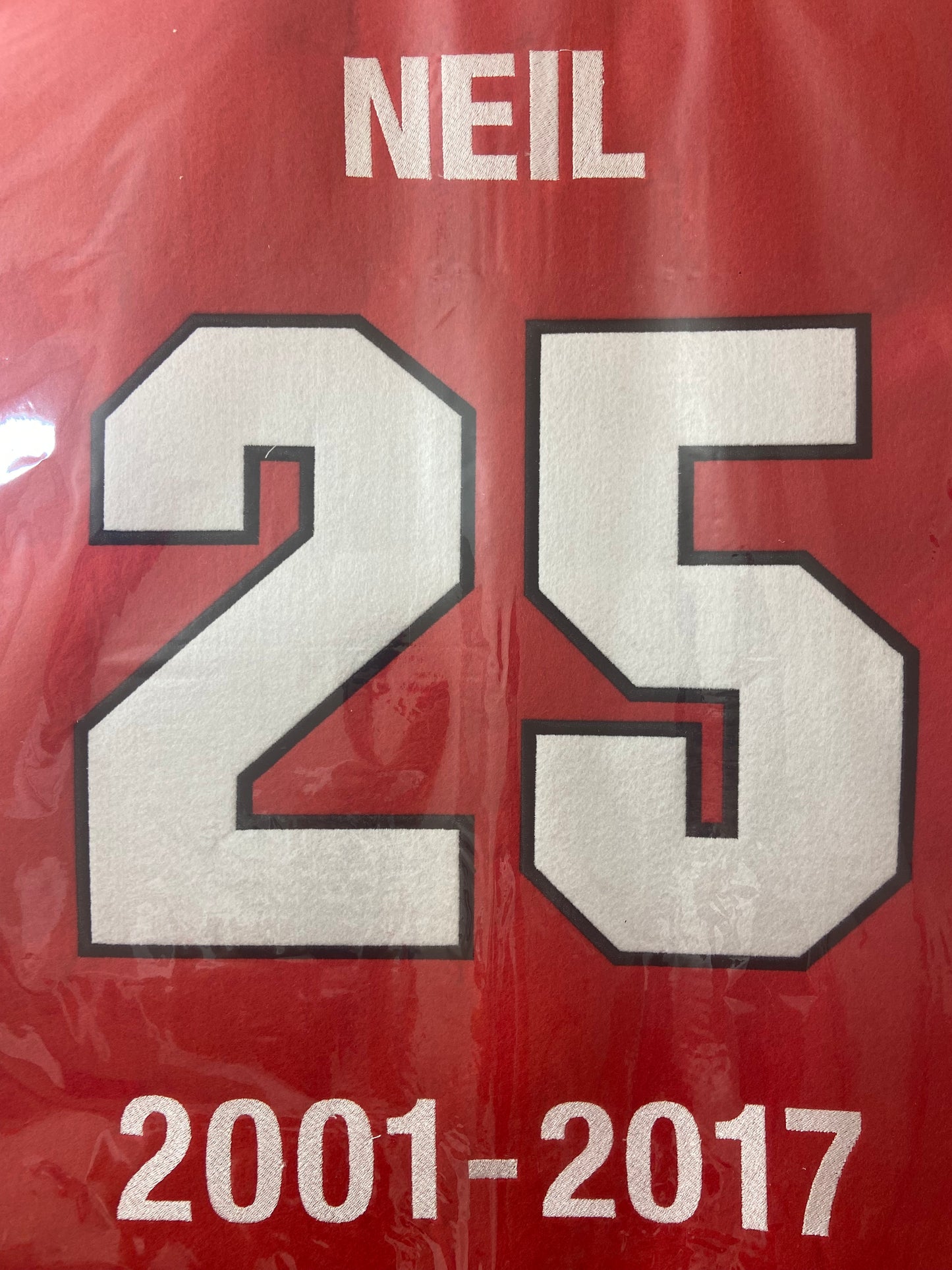 Chris Neil 27" x 18" Wool Embroidered Replica Ottawa Senators Jersey Retirement Banner